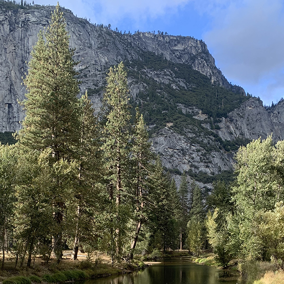 Goal-3-trees-saved-river.jpg